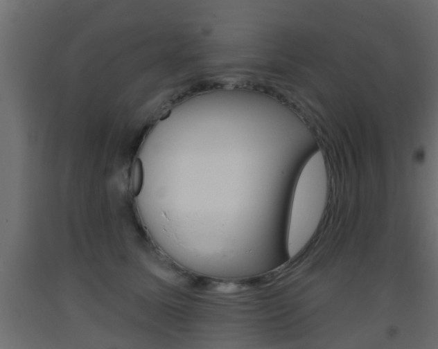 X0000093500611200710121045
