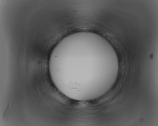 X0000093500612200710121045