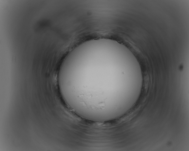 X0000093500613200710121045