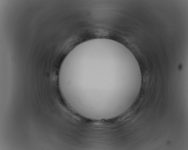 X0000093500614200710121045