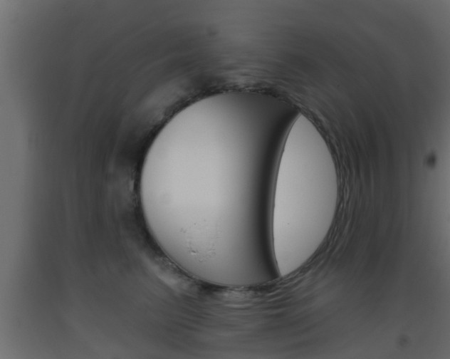 X0000093500615200710121045
