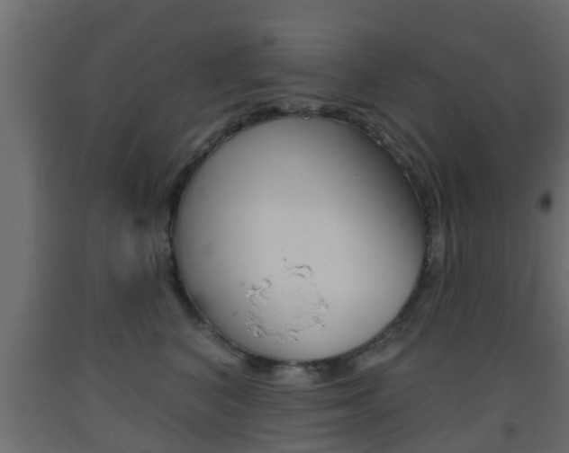 X0000093500616200710121045