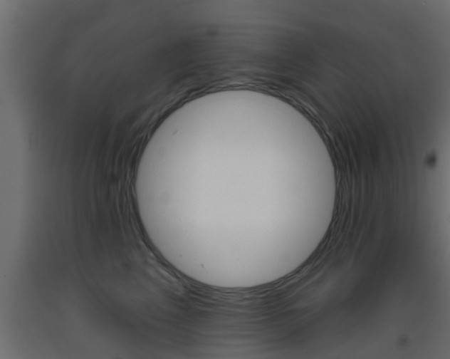 X0000093500617200710121045