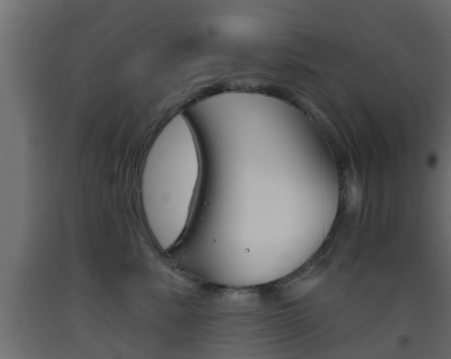 X0000093500619200710121045