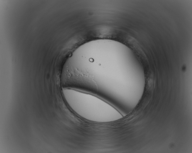 X0000093500620200710121044