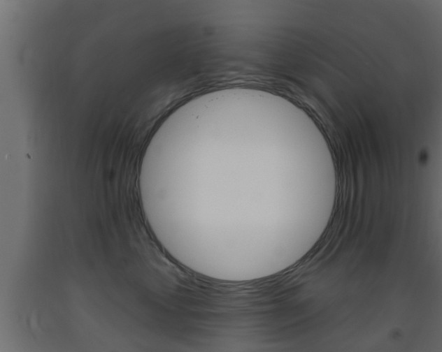 X0000093500621200710121044