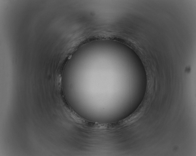 X0000093500624200710121044