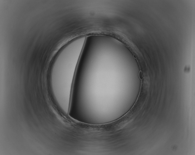 X0000093500626200710121044