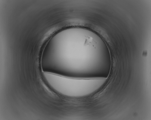 X0000093500629200710121044