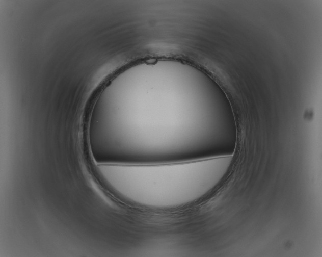 X0000093500630200710121044