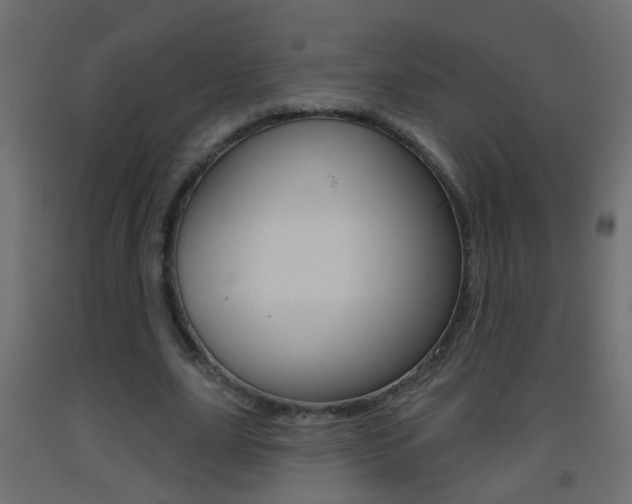 X0000093500631200710121044
