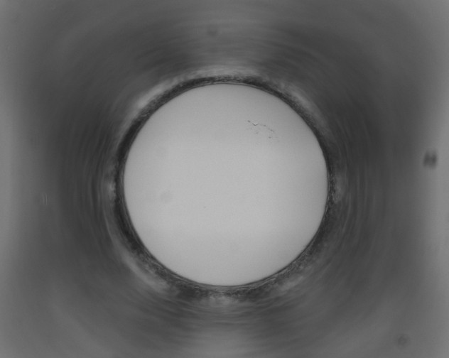 X0000093500632200710121044
