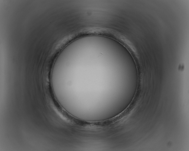 X0000093500633200710121044