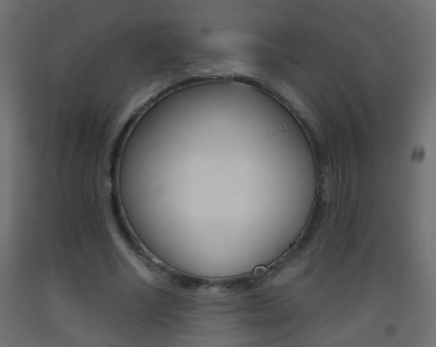 X0000093500634200710121044