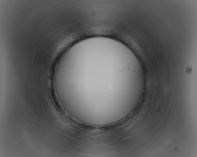 X0000093500635200710121044