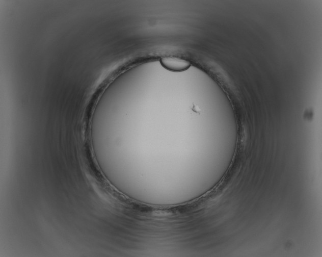 X0000093500636200710121044