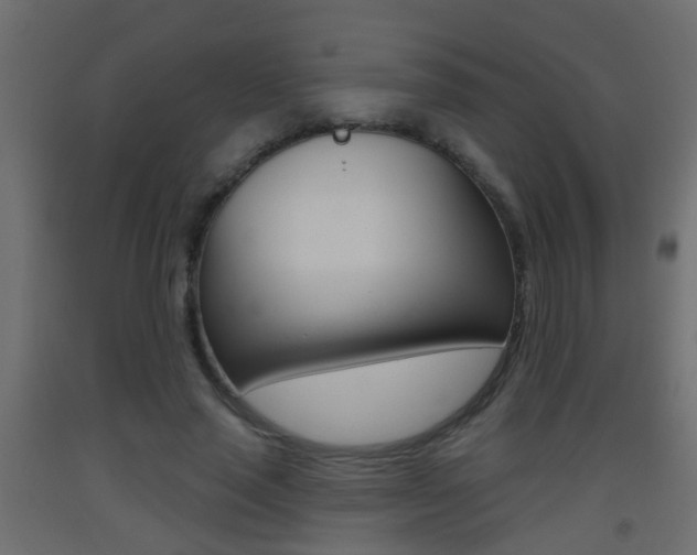 X0000093500637200710121044