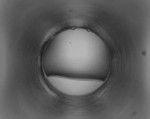 X0000093500638200710121044