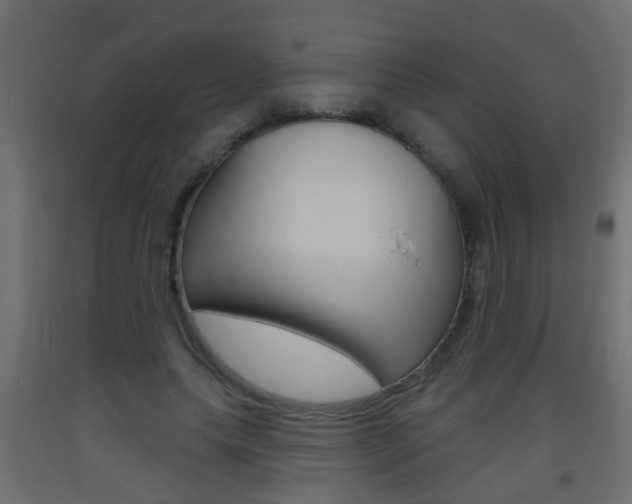 X0000093500639200710121044