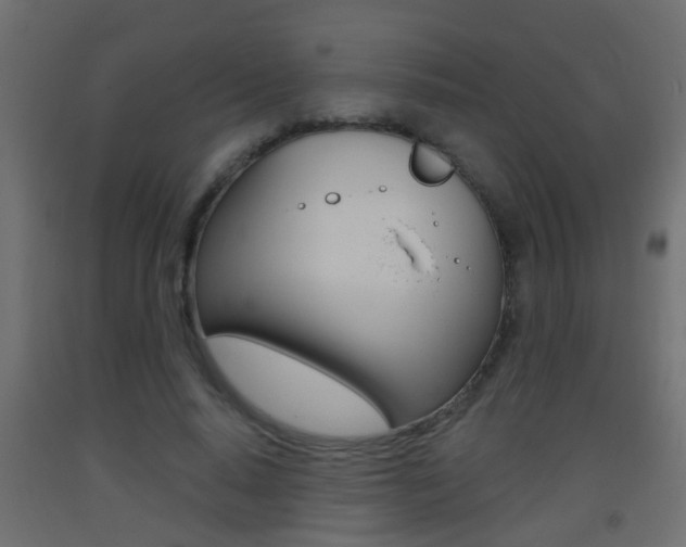 X0000093500640200710121044