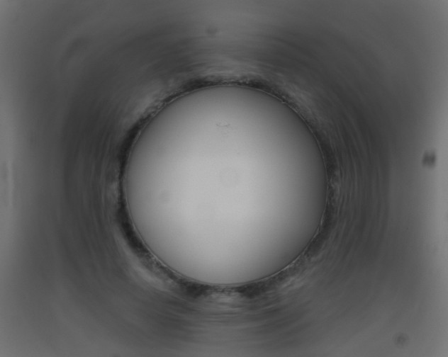 X0000093500642200710121044