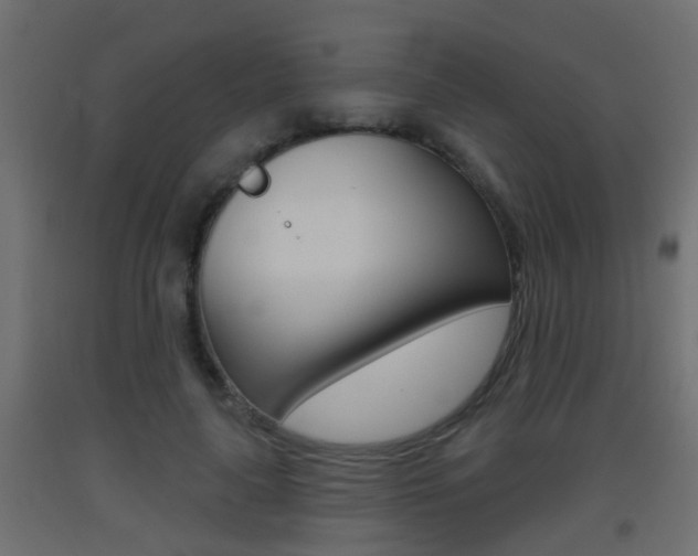 X0000093500643200710121044