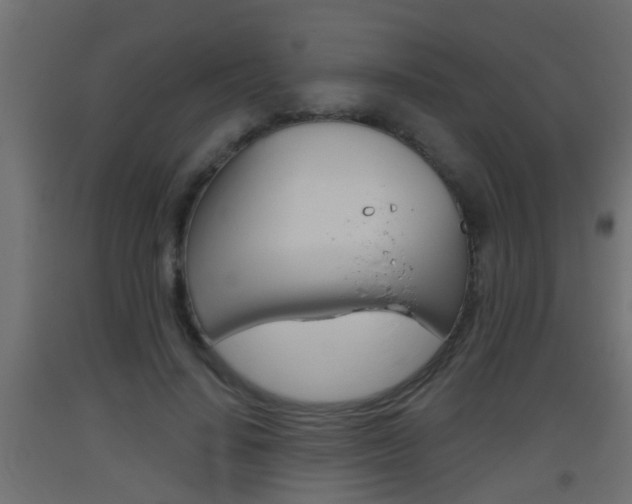 X0000093500644200710121044