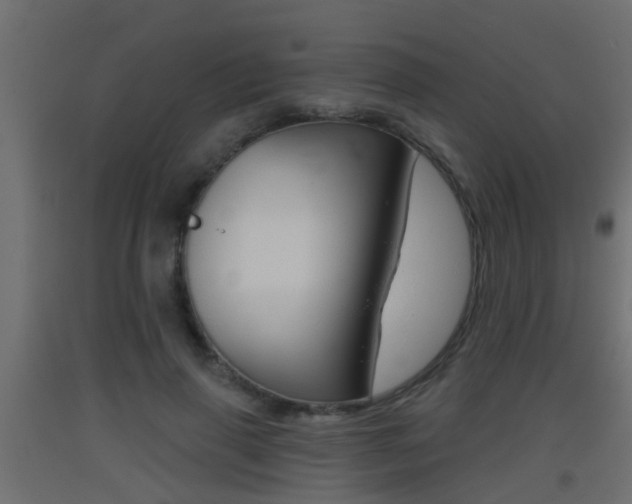 X0000093500645200710121044