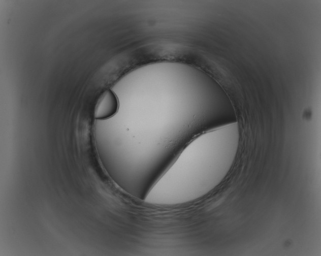 X0000093500646200710121044