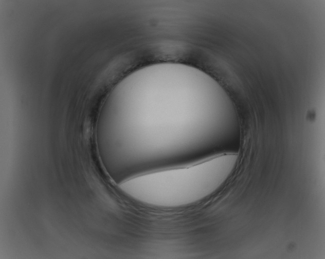 X0000093500647200710121044