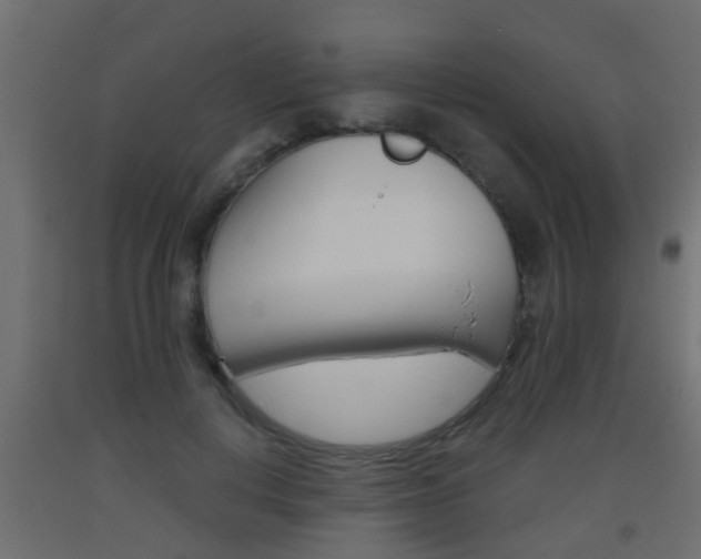 X0000093500648200710121044