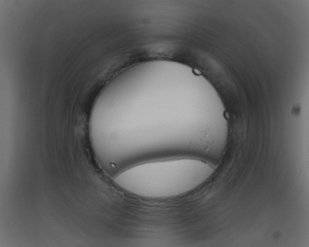 X0000093500649200710121044