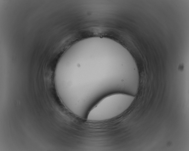X0000093500650200710121044