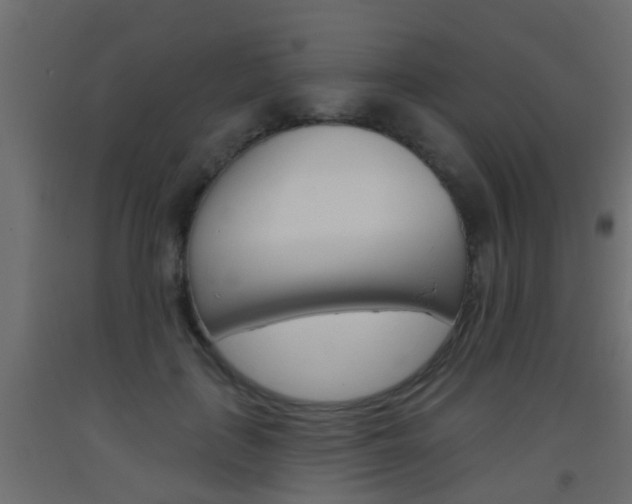 X0000093500651200710121044