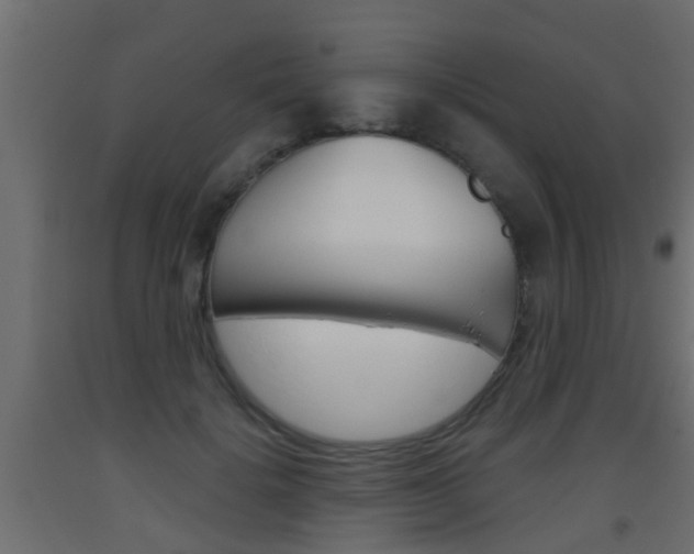 X0000093500652200710121044