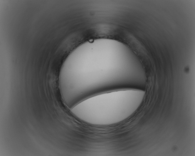 X0000093500653200710121044