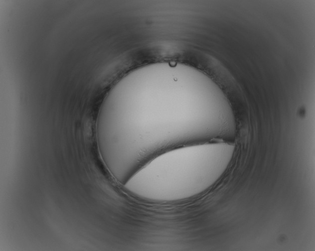 X0000093500654200710121044