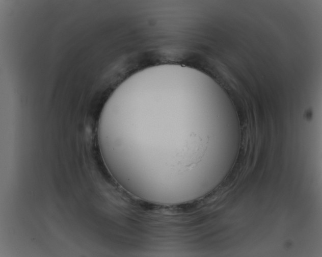 X0000093500655200710121044