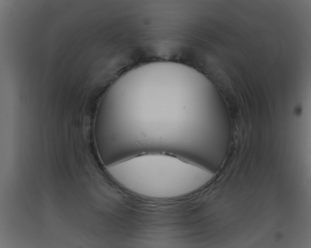 X0000093500656200710121044