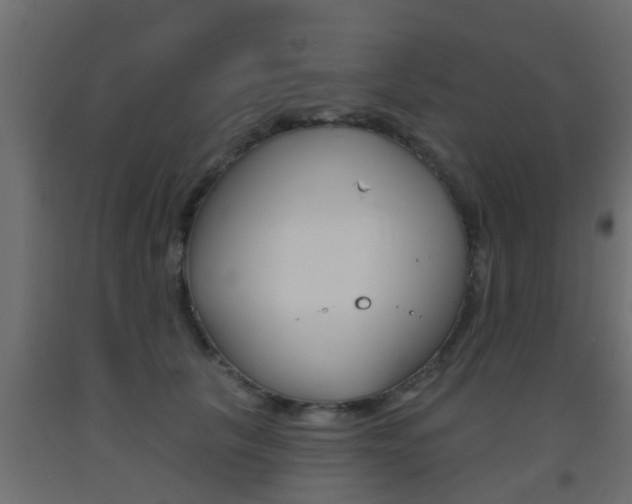 X0000093500657200710121044