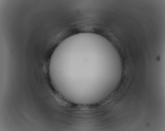 X0000093500658200710121044