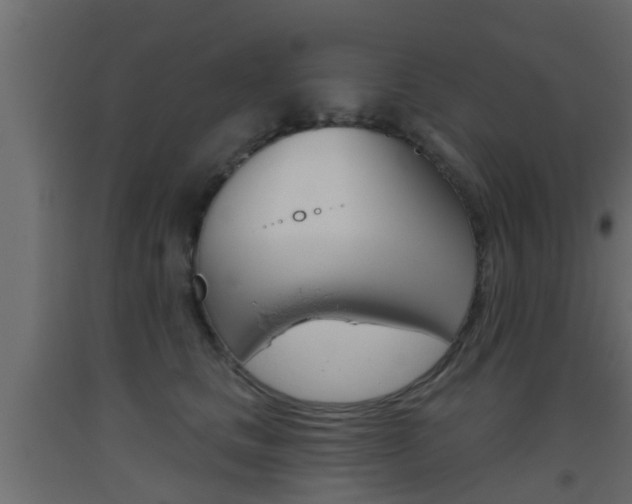X0000093500661200710121044