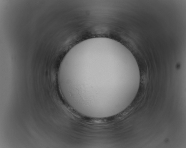 X0000093500662200710121044