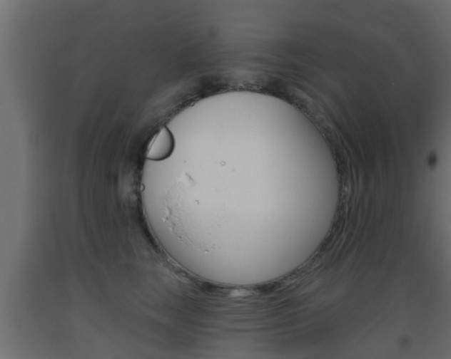 X0000093500663200710121044