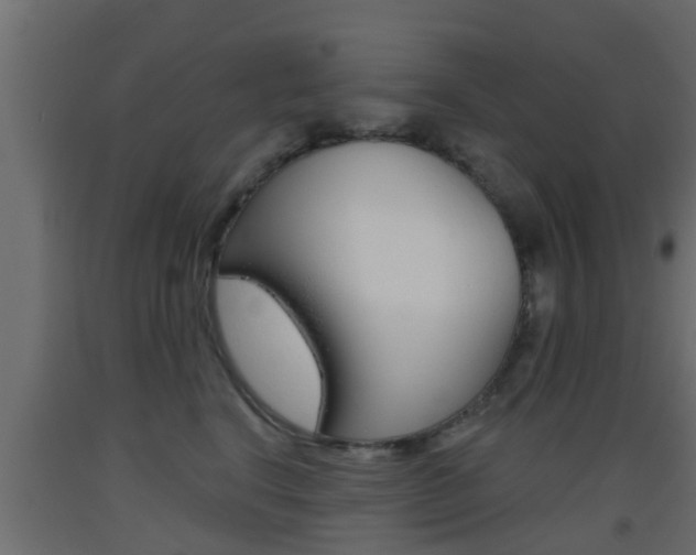 X0000093500664200710121044