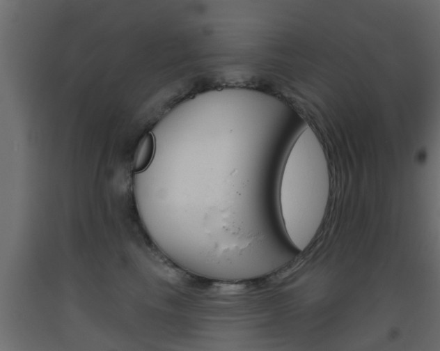X0000093500665200710121044