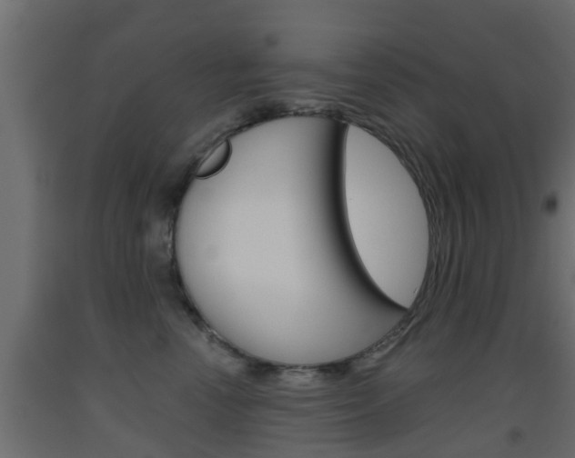 X0000093500666200710121044