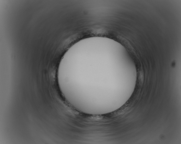 X0000093500668200710121044