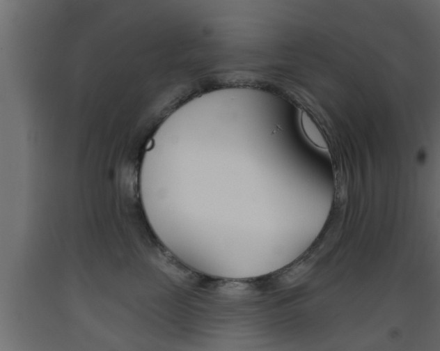 X0000093500669200710121044
