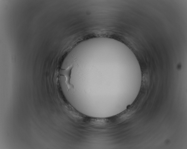 X0000093500671200710121044